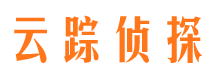 武城市侦探公司